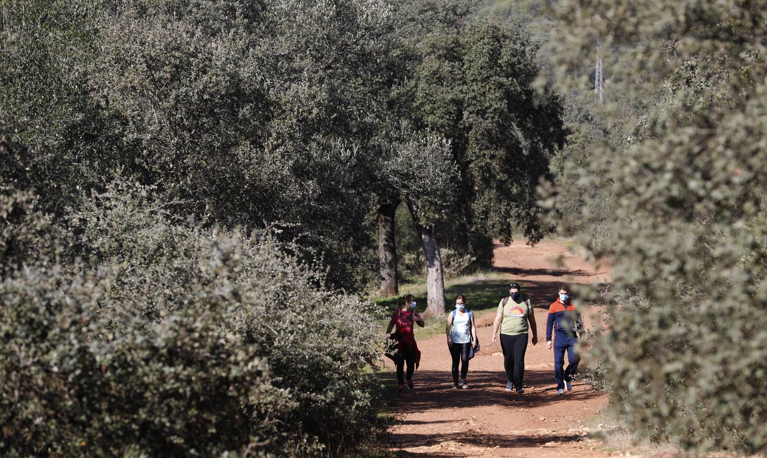 El esplendor del parque del Patriarca de Córdoba, en imágenes