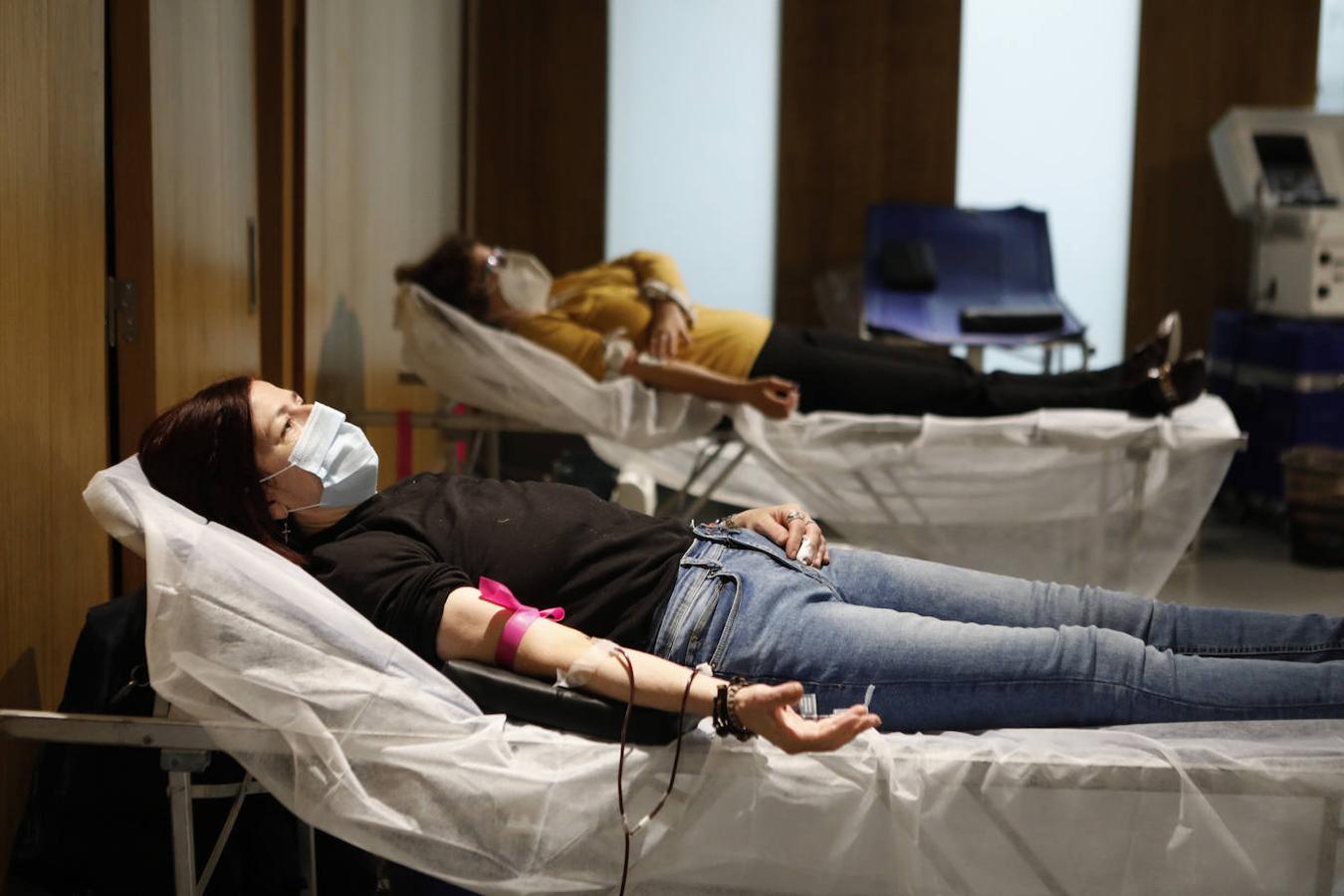 La donación de sangre en la Fundación Cajasol en Córdoba, en imágenes