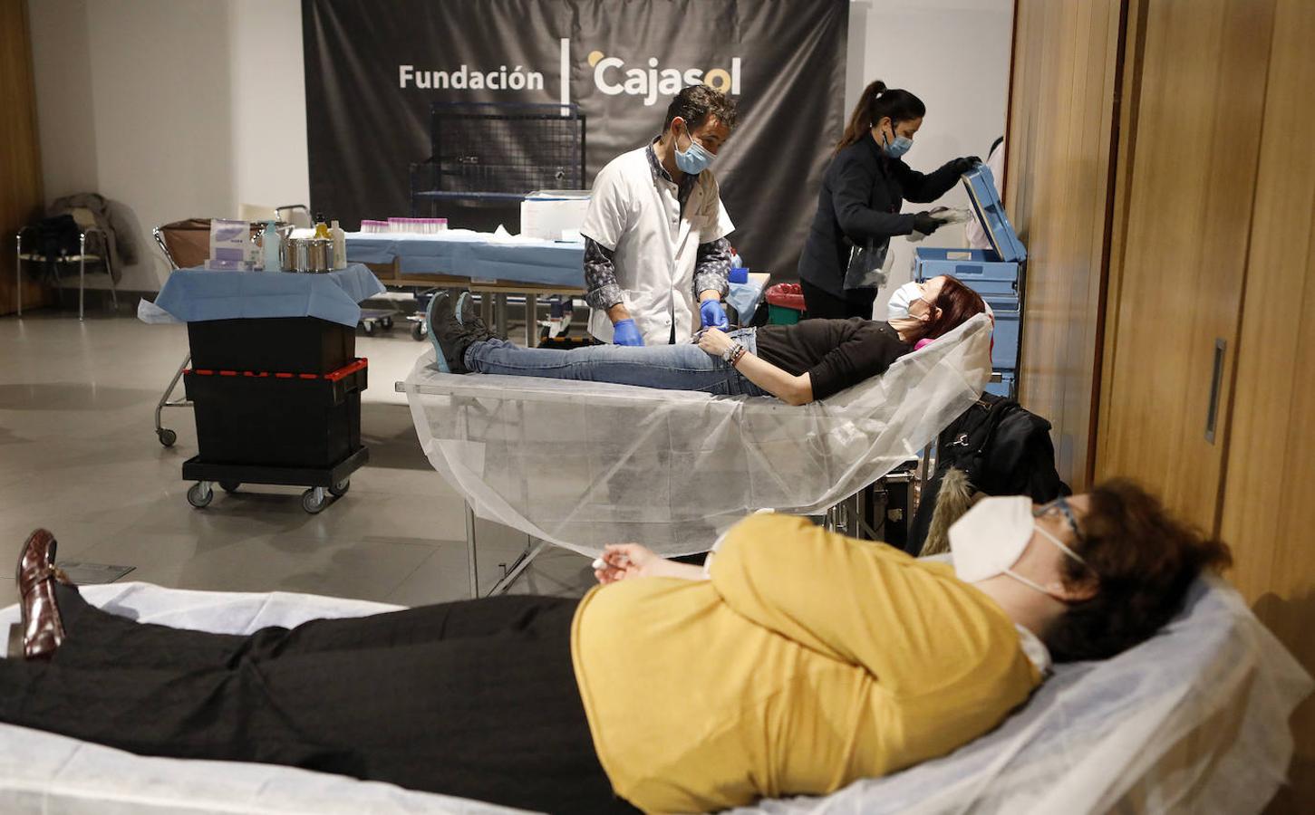 La donación de sangre en la Fundación Cajasol en Córdoba, en imágenes