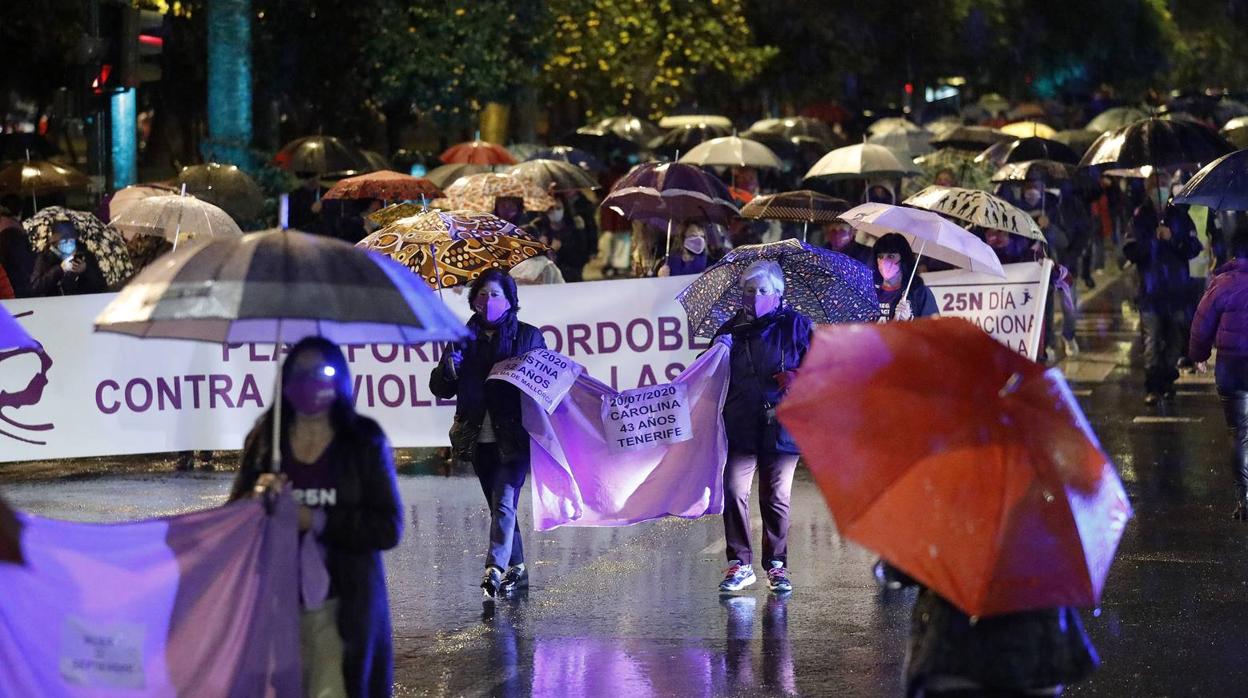 La marcha contra la violencia machista en Córdoba, en imágenes