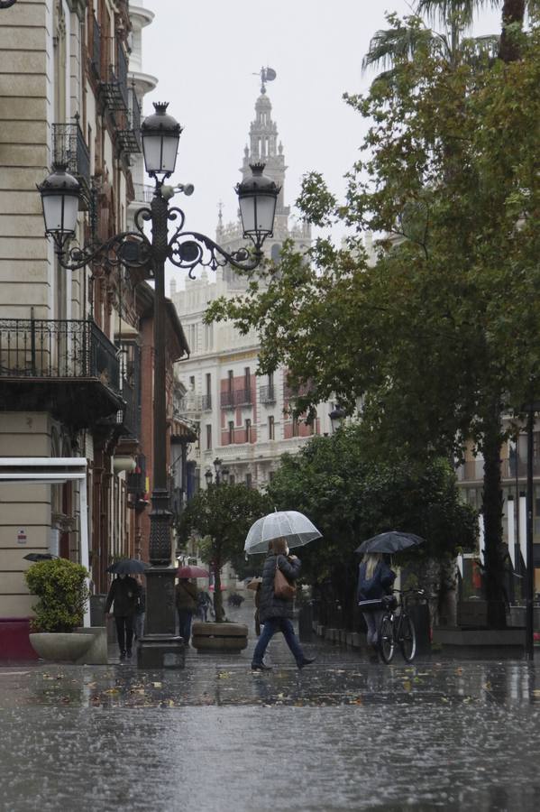 Las imágenes de la lluvia en Sevilla