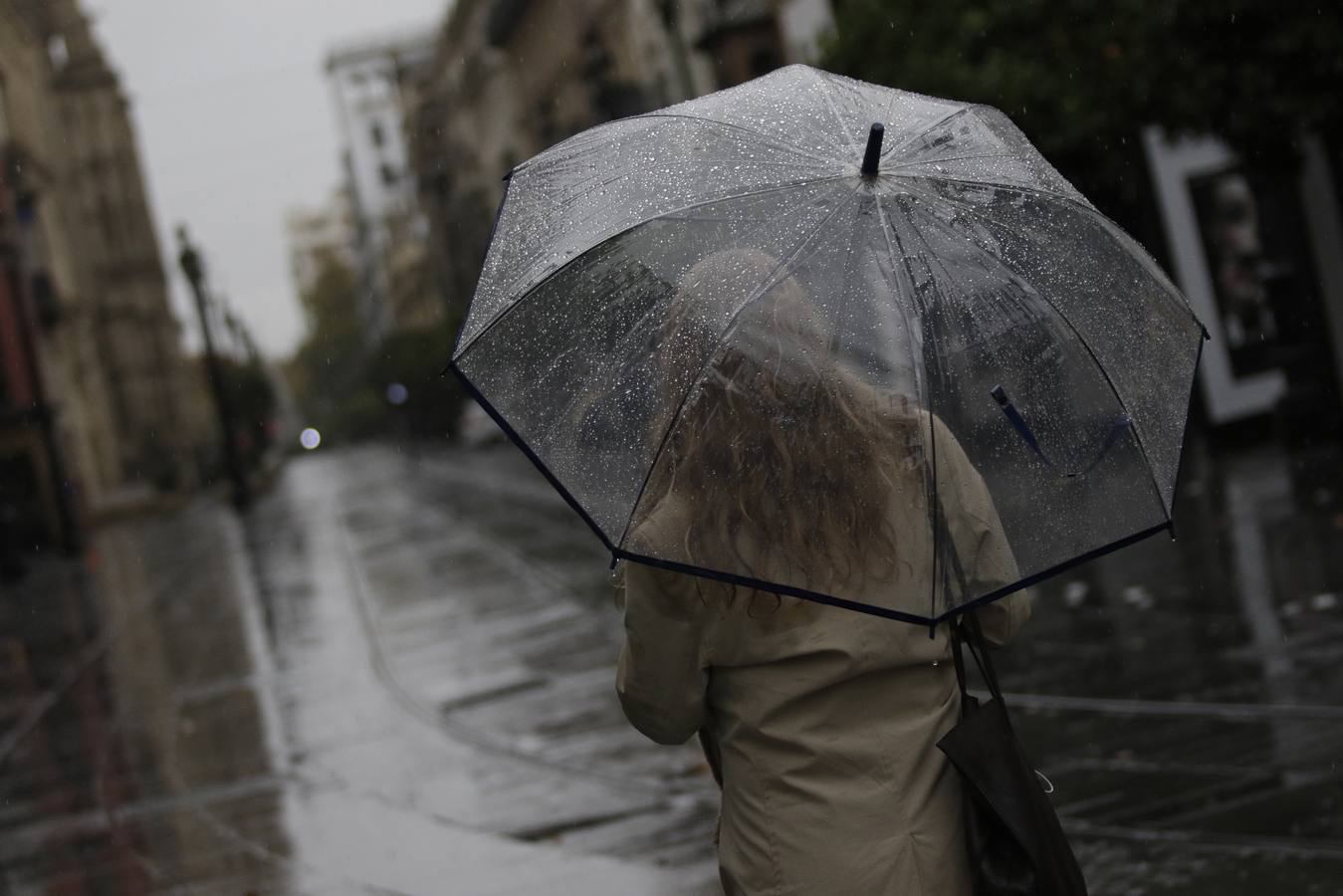 Las imágenes de la lluvia en Sevilla