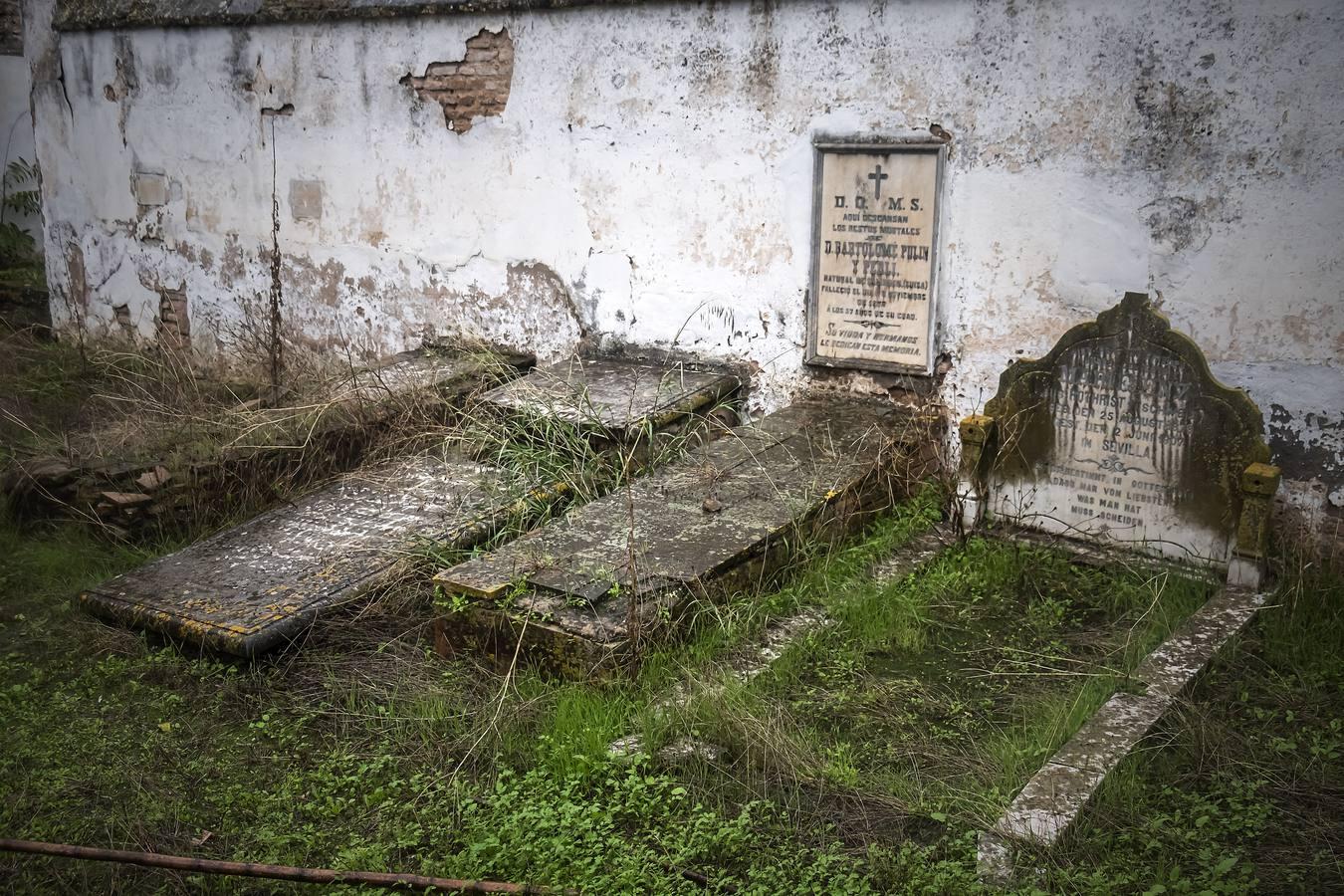 Cementerio de los Ingleses de Sevilla, un tesoro abandonado