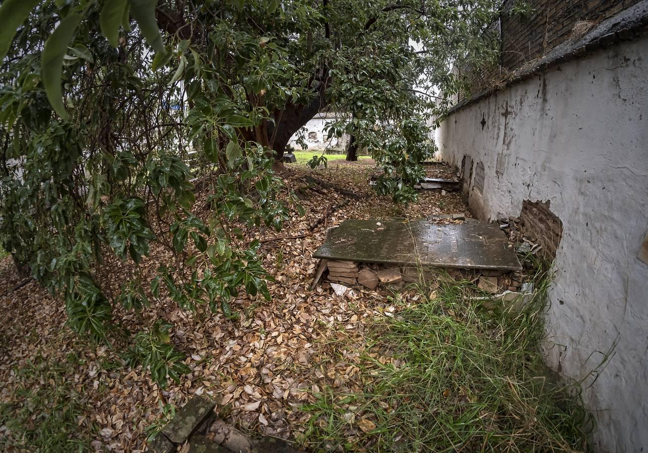 Cementerio de los Ingleses de Sevilla, un tesoro abandonado