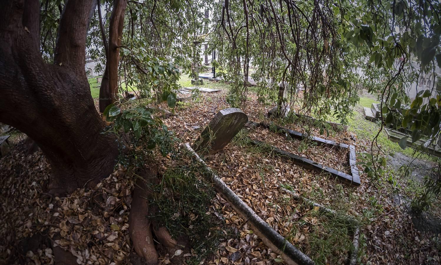 Cementerio de los Ingleses de Sevilla, un tesoro abandonado