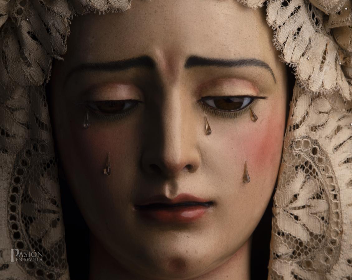 La Virgen de Gracia y Amparo de los Javieres