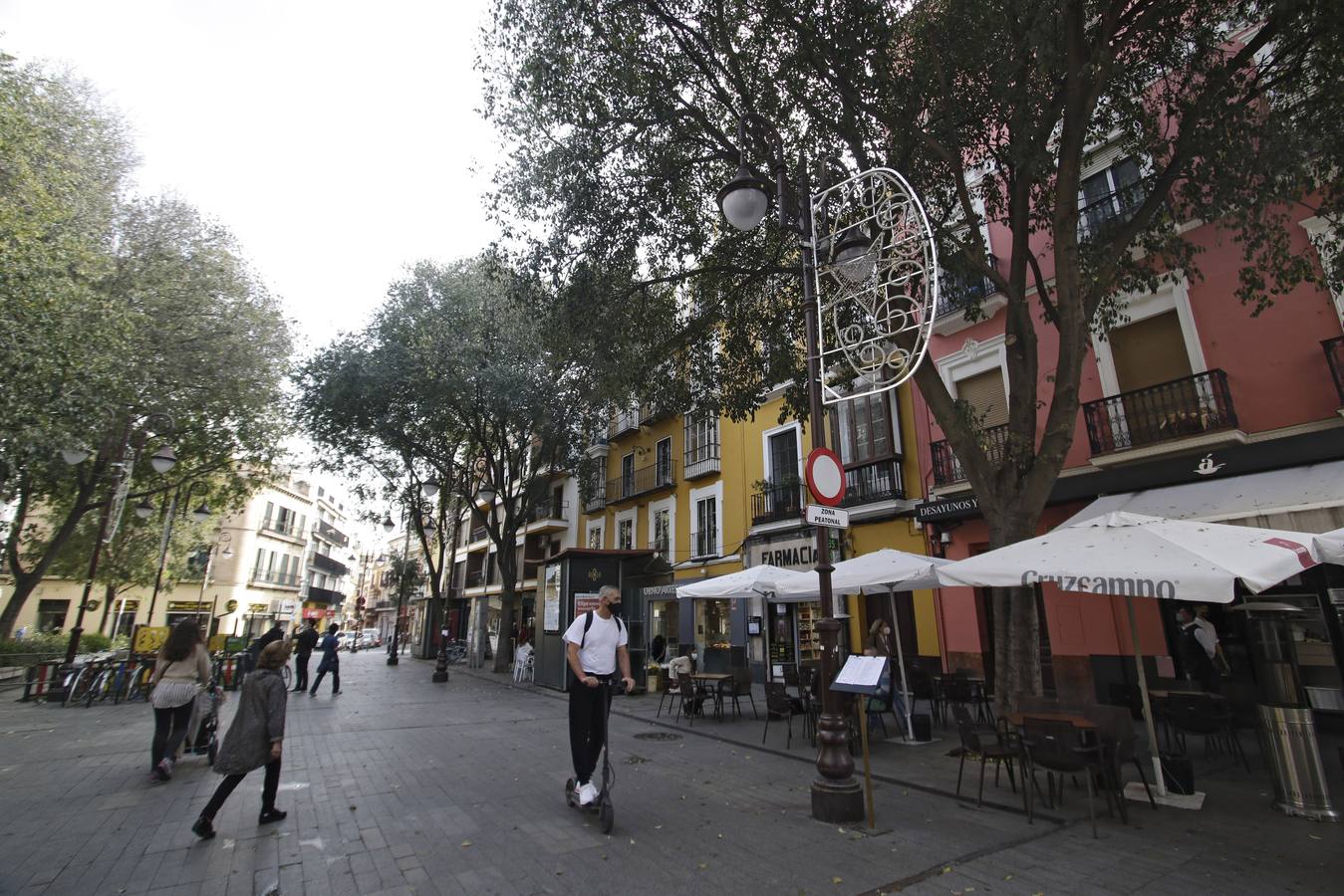 Fotogalería: El alumbrado navideño, listo para cobrar vida