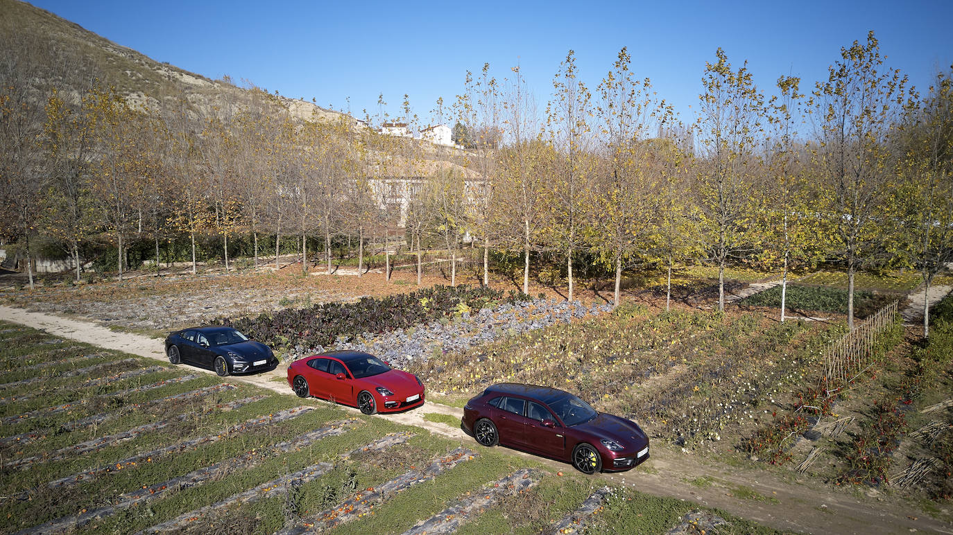 Fotogalería: Porsche Panamera 2021