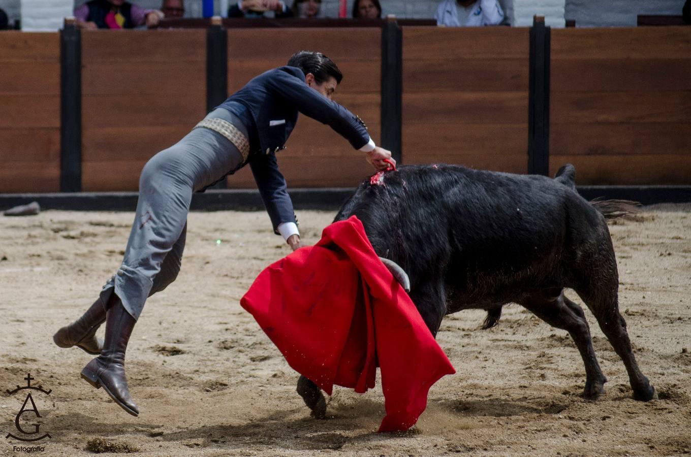 Festival taurino celebrado en Ecuador, en imágenes