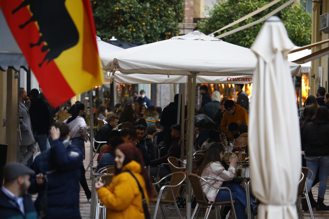 El gélido ambiente navideño en el Centro de Córdoba, en imágenes