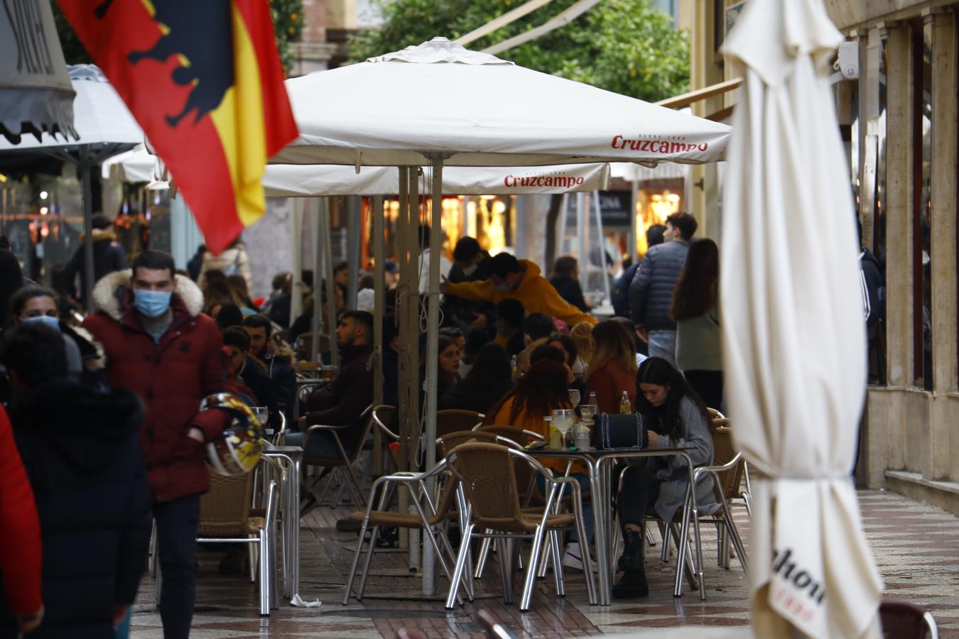 El gélido ambiente navideño en el Centro de Córdoba, en imágenes