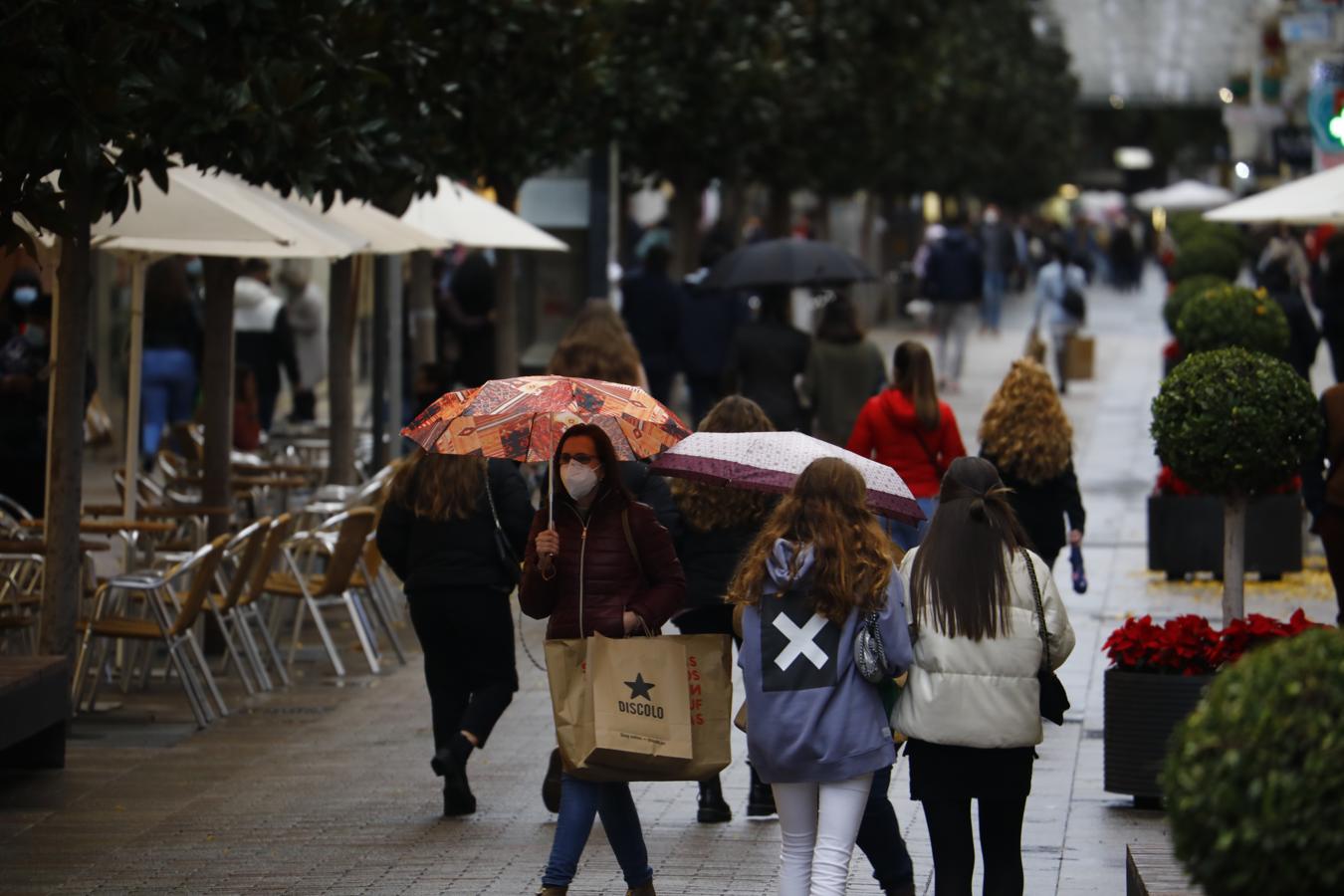 El gélido ambiente navideño en el Centro de Córdoba, en imágenes