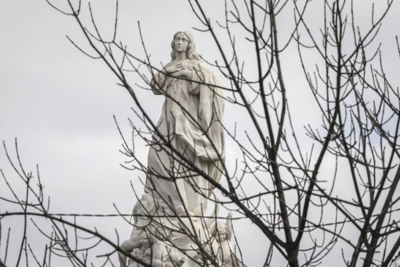 Las caras de la Inmaculada