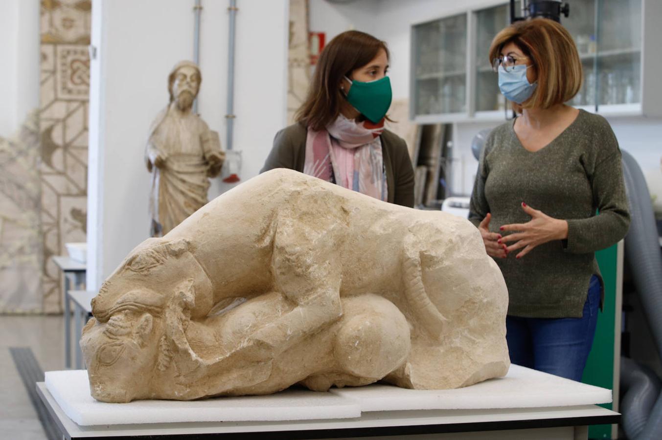 Las leonas iberas de Córdoba, en imágenes