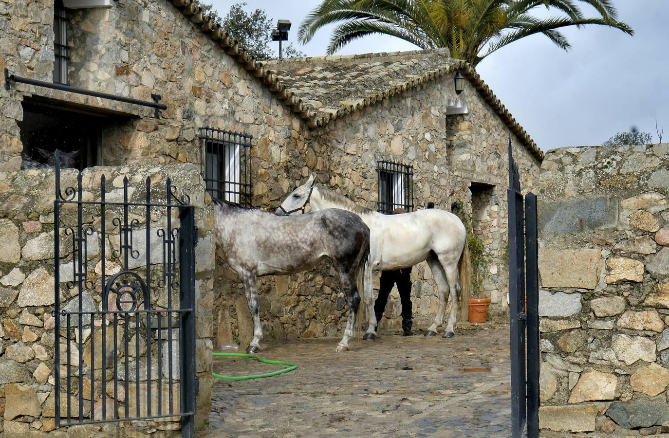 Fotogalería: La pandemia también se lleva por delante el turismo taurino