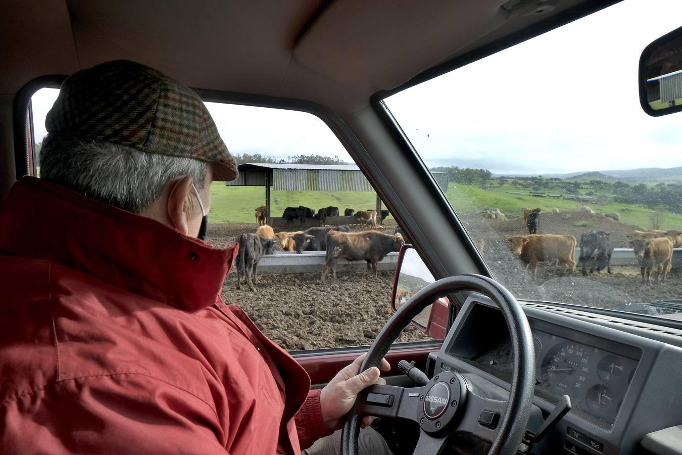 Fotogalería: La pandemia también se lleva por delante el turismo taurino