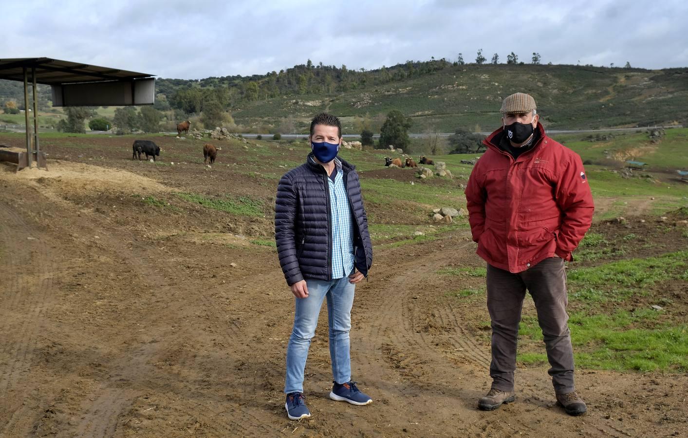 Fotogalería: La pandemia también se lleva por delante el turismo taurino