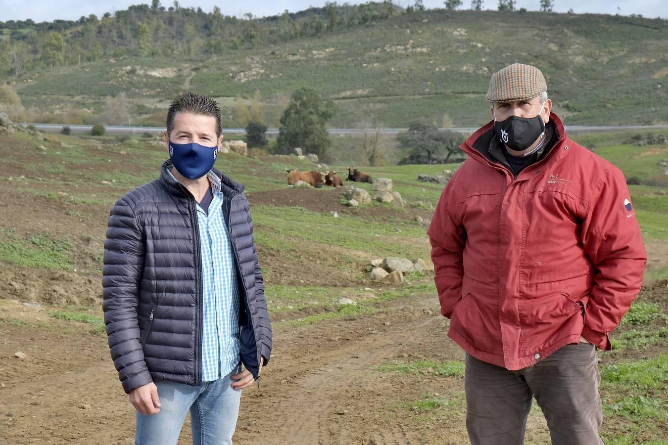 Fotogalería: La pandemia también se lleva por delante el turismo taurino