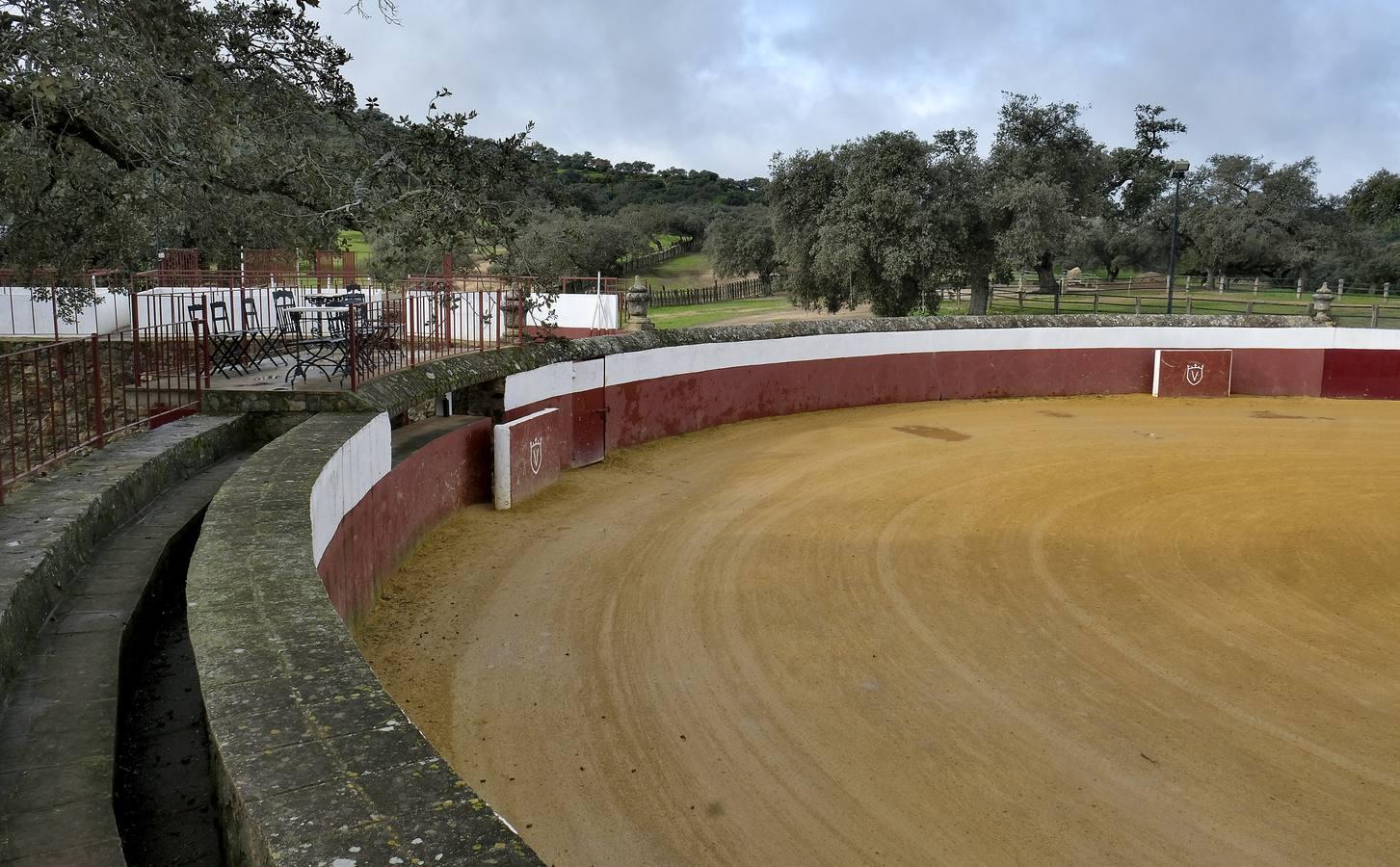 Fotogalería: La pandemia también se lleva por delante el turismo taurino