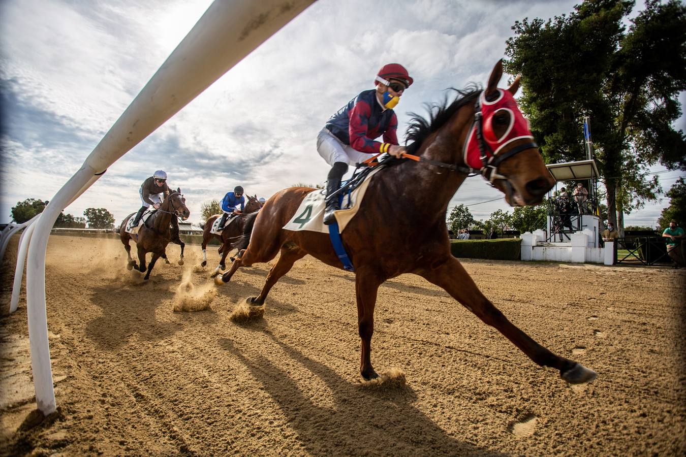 Fotogalería: Vuelven las carreras de caballos al Real Club Pineda