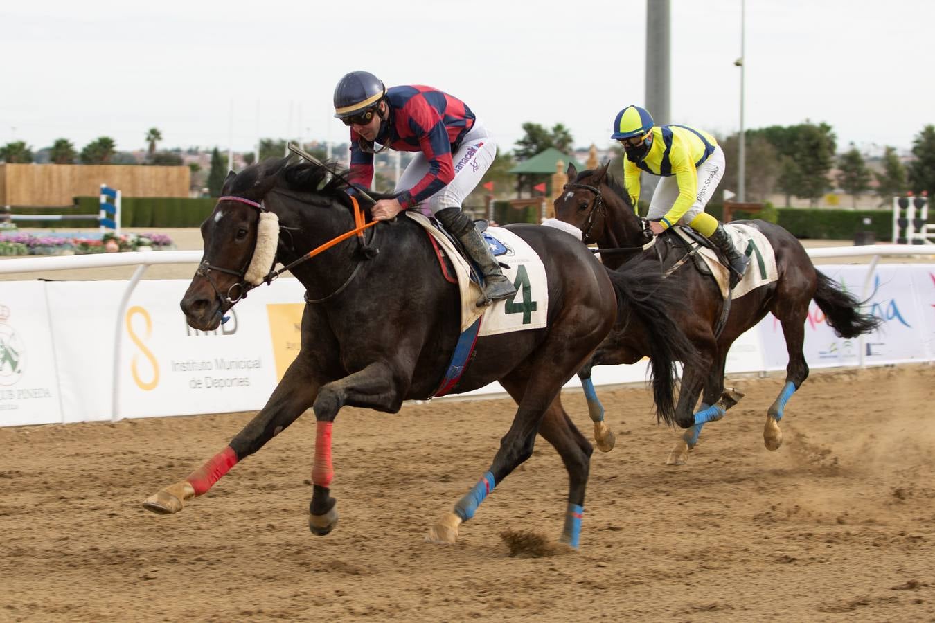 Fotogalería: Vuelven las carreras de caballos al Real Club Pineda