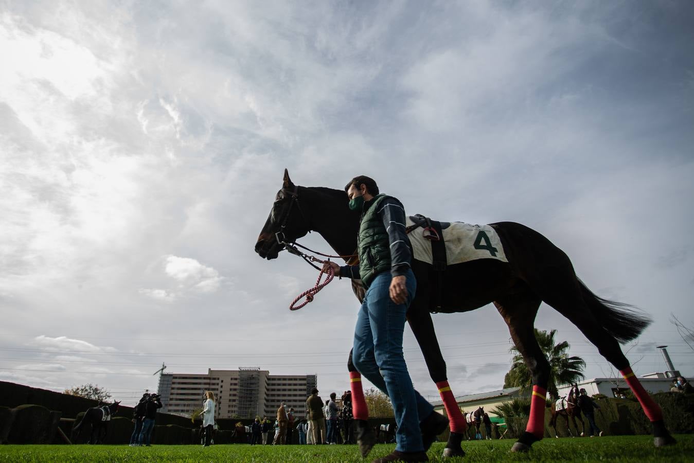 Fotogalería: Vuelven las carreras de caballos al Real Club Pineda