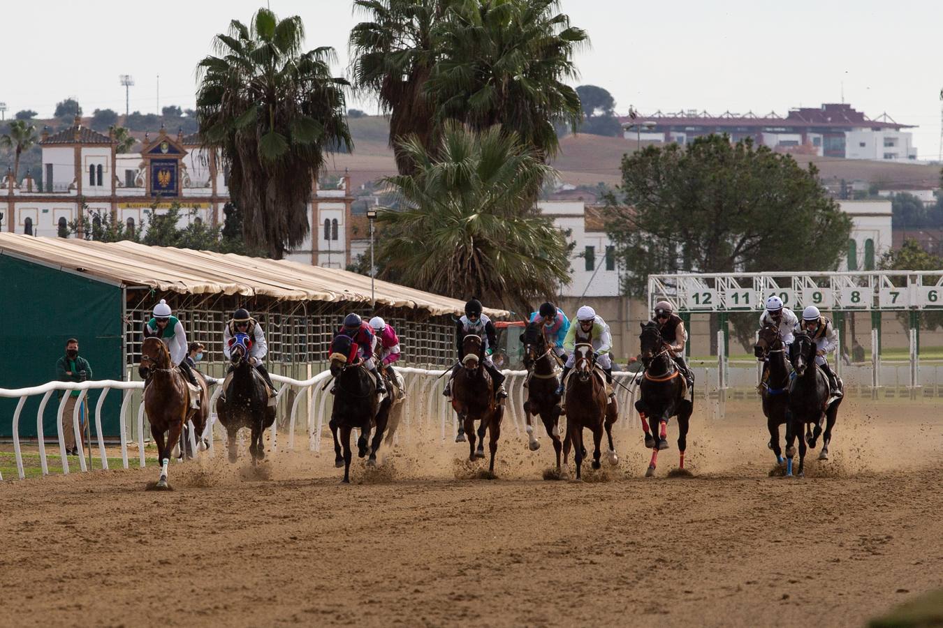 Fotogalería: Vuelven las carreras de caballos al Real Club Pineda