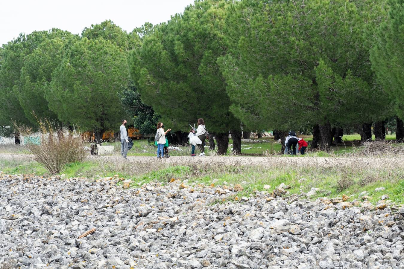 En imágenes, los vecinos de Bellavista limpian los alrededores del Cortijo de Cuarto