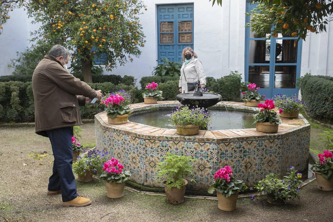 Las visitas gratuitas al Palacio de Viana de Córdoba, en imágenes