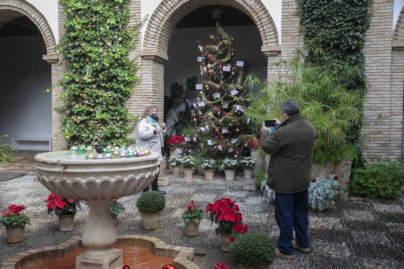 Las visitas gratuitas al Palacio de Viana de Córdoba, en imágenes