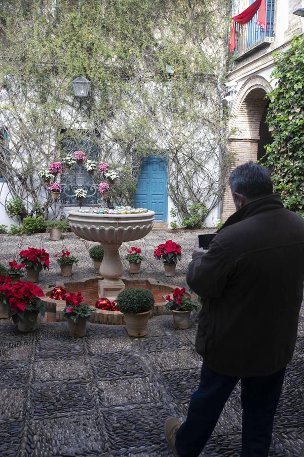 Las visitas gratuitas al Palacio de Viana de Córdoba, en imágenes