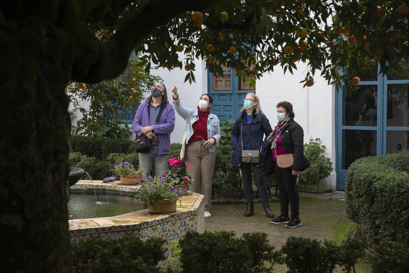 Las visitas gratuitas al Palacio de Viana de Córdoba, en imágenes