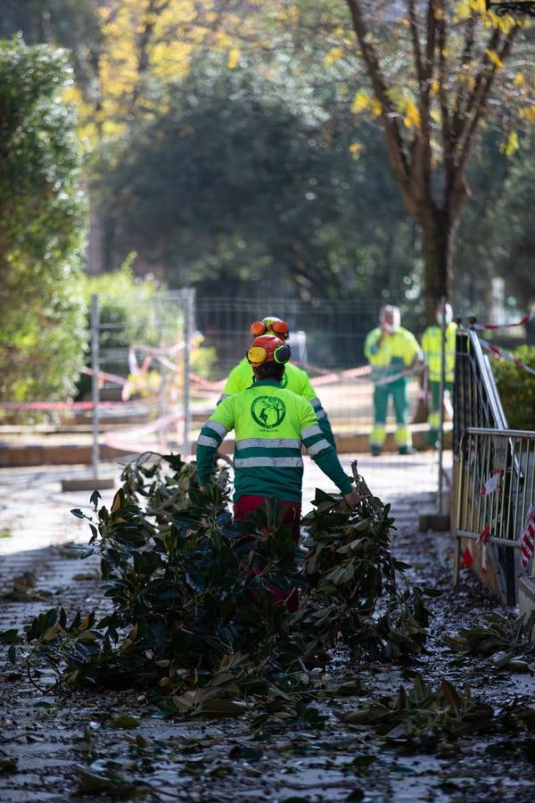 Los Jardines de Murillo se acicalan para su reapertura