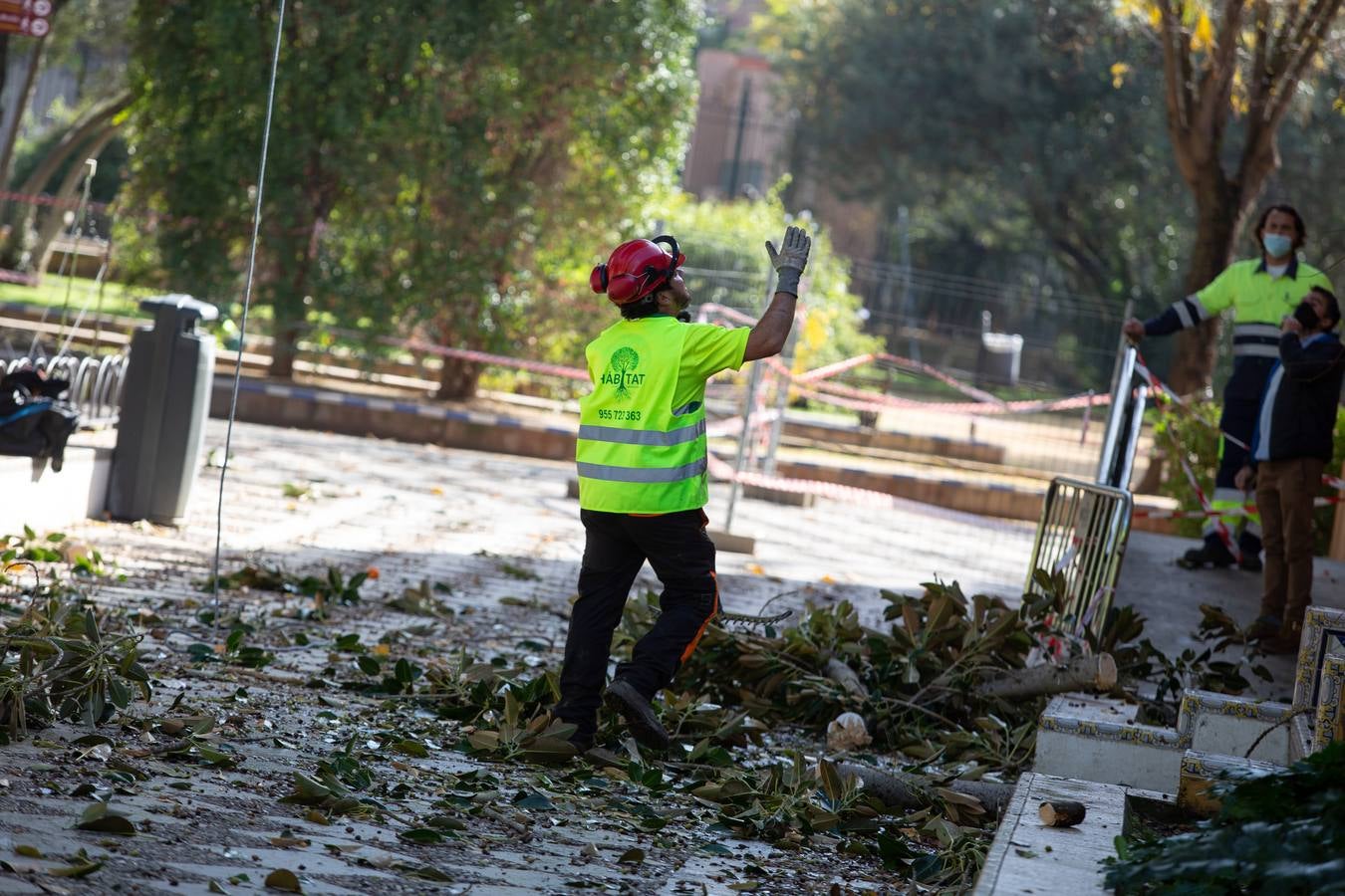 Los Jardines de Murillo se acicalan para su reapertura