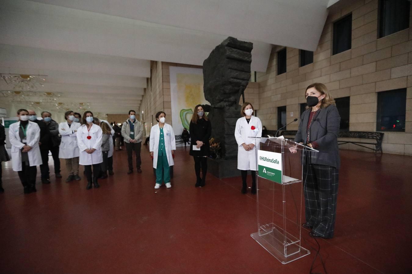 Las luces de Navidad llegan al hospital Reina Sofía de Córdoba