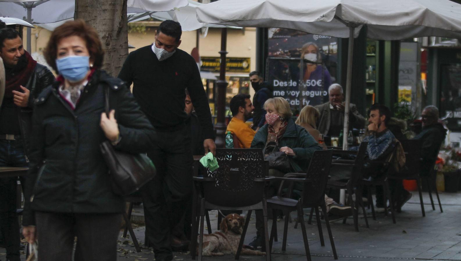 En imágenes, ambiente de las cafeterías y bares de Sevilla con los nuevos horarios