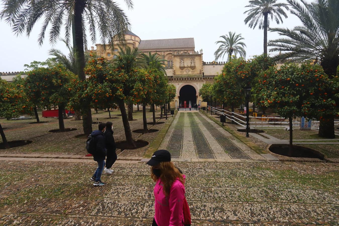 La reapertura de la Mezquita-Catedral de Córdoba, en imágenes