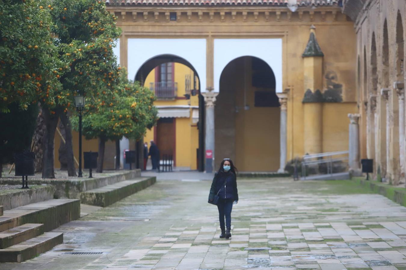 La reapertura de la Mezquita-Catedral de Córdoba, en imágenes