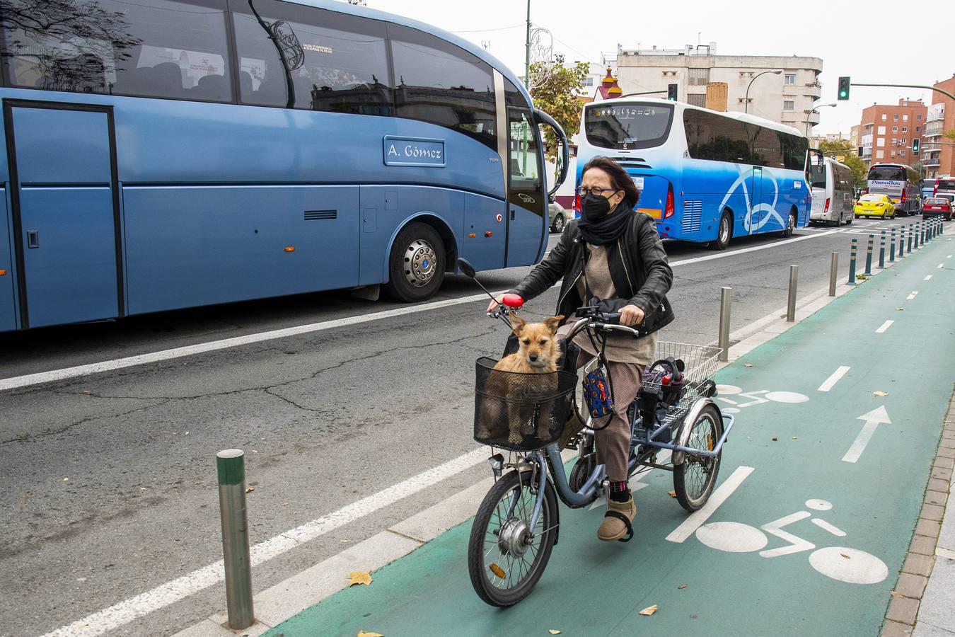 Los autobuses turísticos protestan en Sevilla