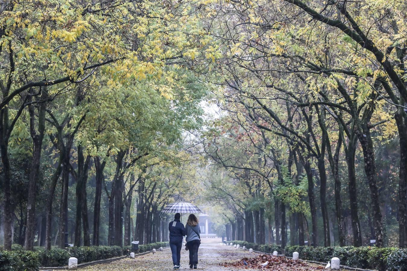 Estampas de otoño en Sevilla