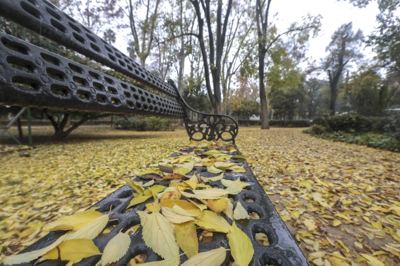 Estampas de otoño en Sevilla