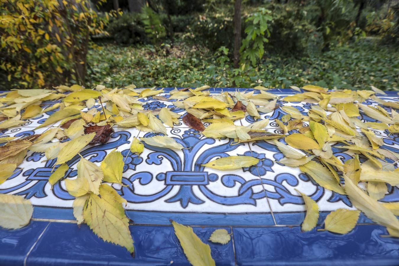 Estampas de otoño en Sevilla