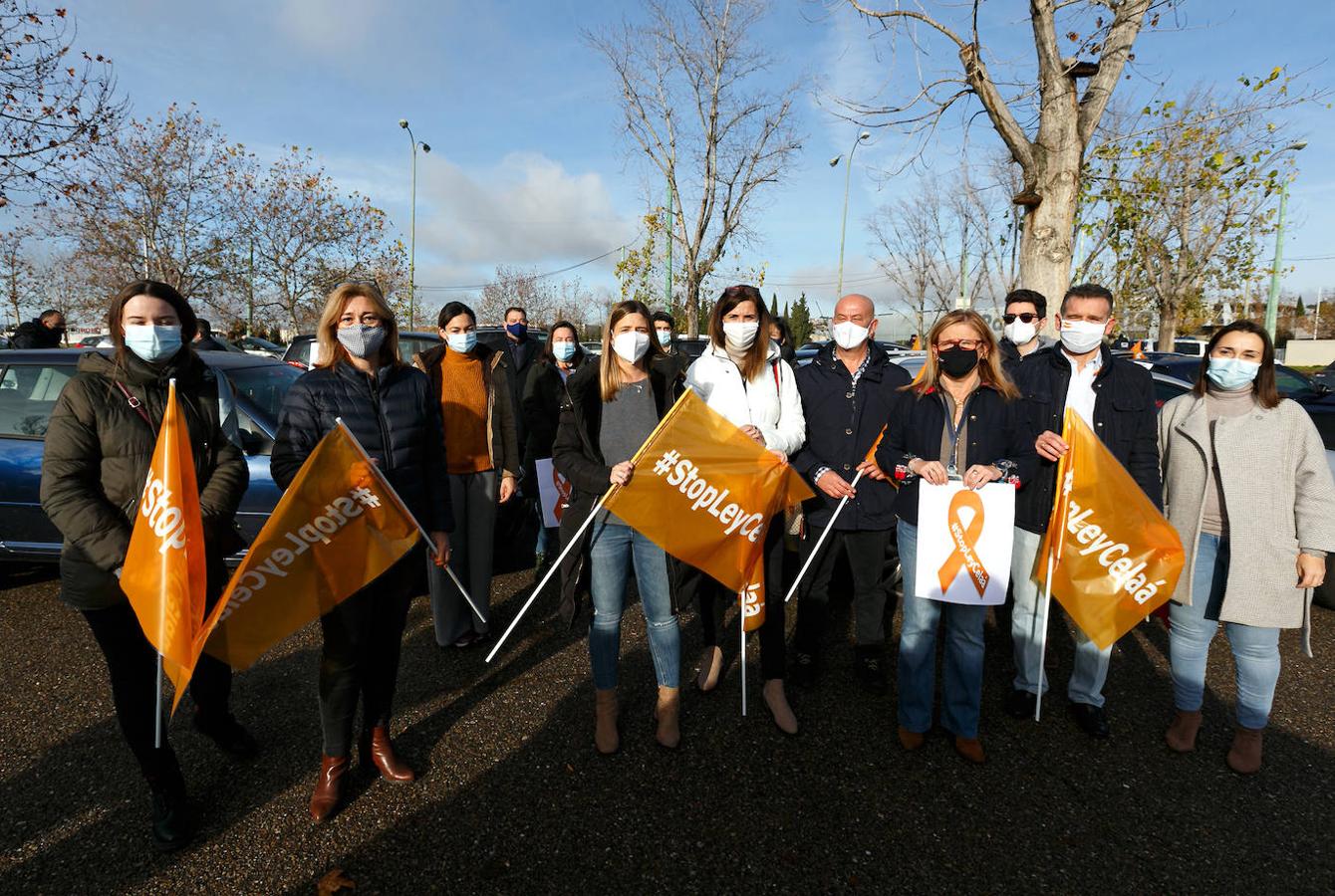 La protesta en Toledo contra la «ley Celaá», en imágenes