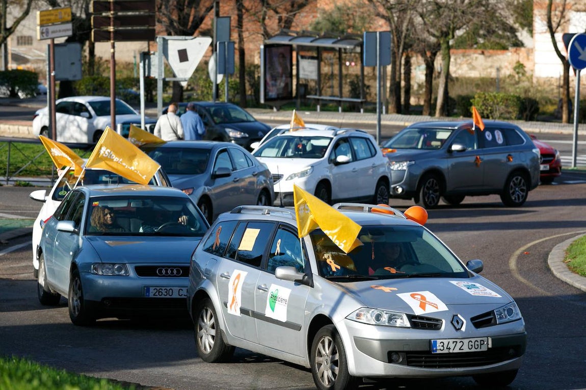 La protesta en Toledo contra la «ley Celaá», en imágenes