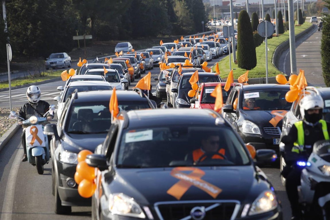 La manifestación contra la Ley Celaá en Córdoba, en imágenes