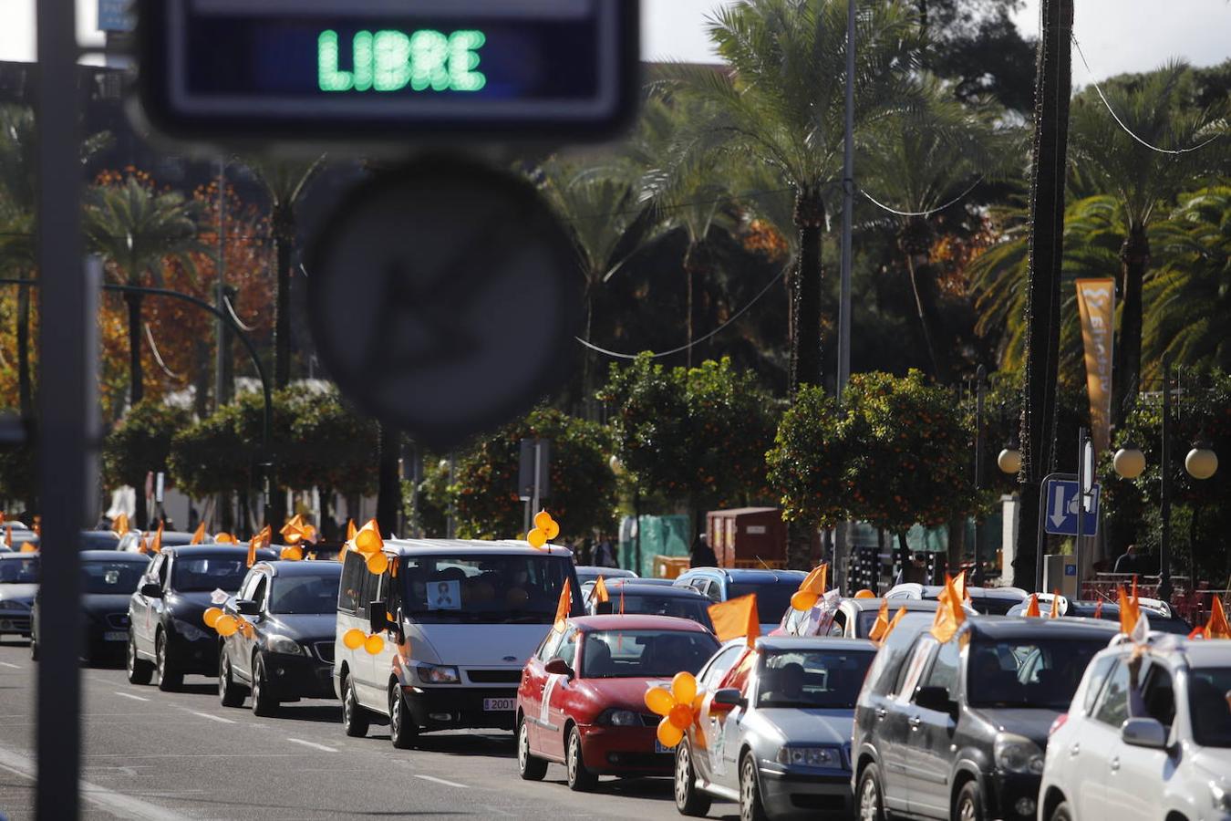 La manifestación contra la Ley Celaá en Córdoba, en imágenes