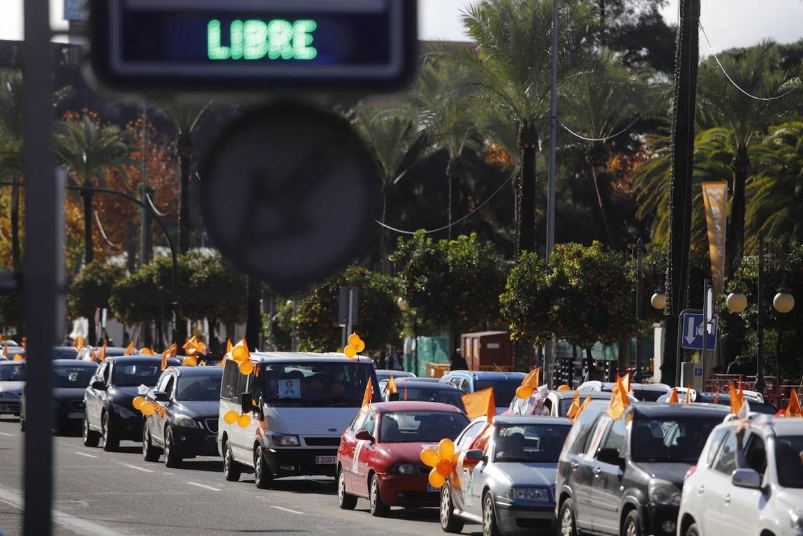 La manifestación contra la Ley Celaá en Córdoba, en imágenes