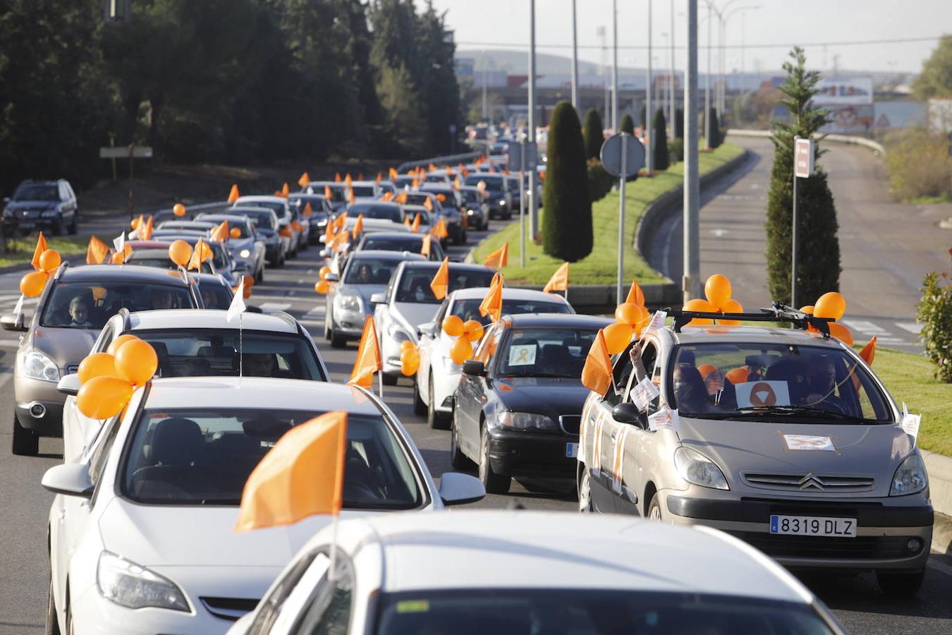 La manifestación contra la Ley Celaá en Córdoba, en imágenes