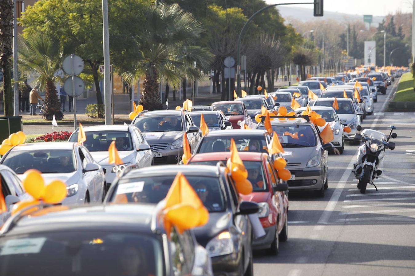 La manifestación contra la Ley Celaá en Córdoba, en imágenes