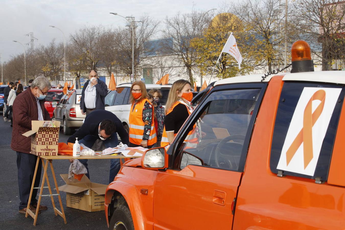 La manifestación contra la Ley Celaá en Córdoba, en imágenes